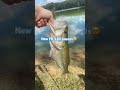 #fishing #bassfishing #music #music