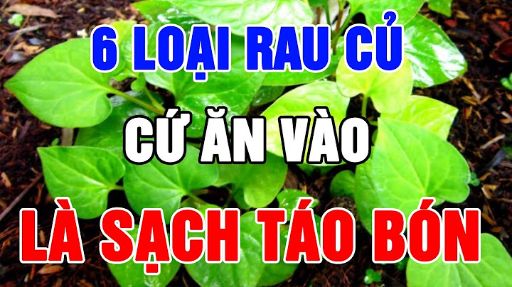 Bọn này thật là 4 lạng là gì năm 2024