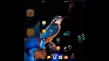 Hướng dẫn tắt quảng cáo trên quản lý tập tin trên Xiaomi.