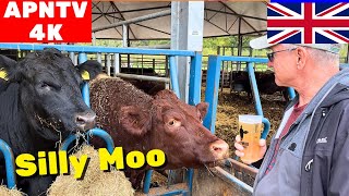 Silly Moo Cider, Trenchmore Farm Autumn Market 2025 Micro vlog.