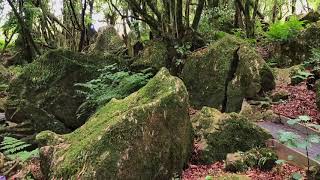 The Hobbit: An Unexpected Journey Film Location - Hairy Feet Tour