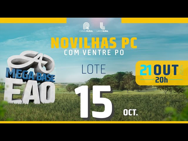 LOTE 15