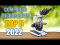 Top 5 Best Compound Microscopes In 2022 Reviews