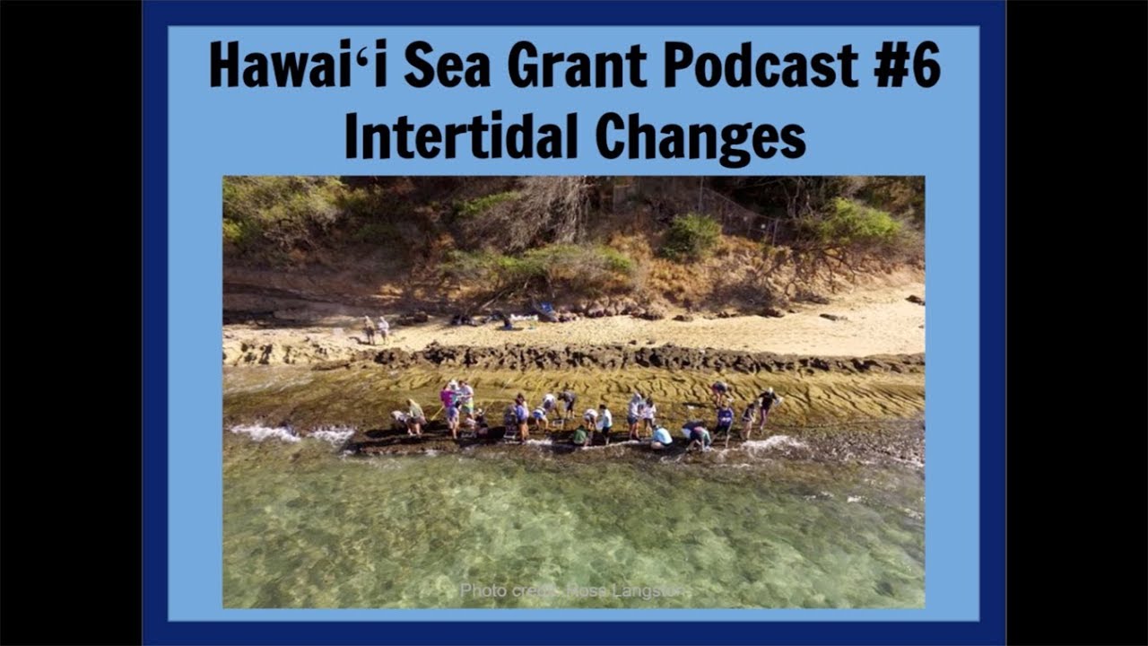 Hawaiʻi Sea Grant 3-2-1 Podcast - Season 2, #6: Intertidal Changes