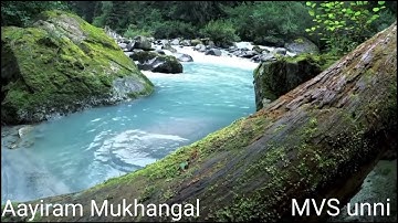 Aayiram Mukhangal (Film-Night Duty)