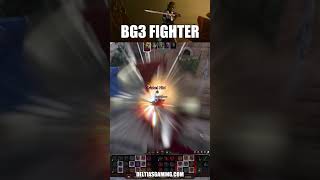 BG3 Best Melee Build: The Fighter