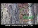 Turkey Hunting, Robby Gilbert takes a longbeard in...