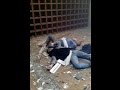 قتلى وجرحى في انفجار مسجد الإمام الصادق بالكويت قتلى وجرحى في انفجار مسجد الإمام الصادق بالكويت