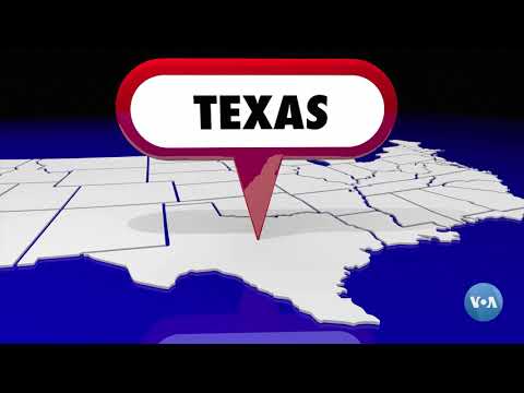 Video: Texasdagi chorvachilik shoulari va rodeolar