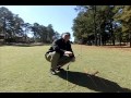 How to your swing by greg  grexa golf instruction