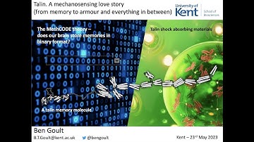 Talin. A mechanosensing love story (from memory to armour and everything in between)