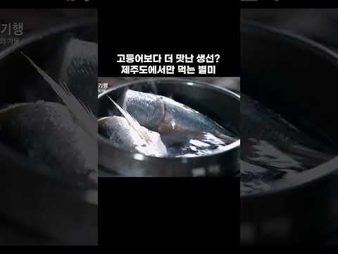 제주도 어머니들의 생선 각대기 #shorts