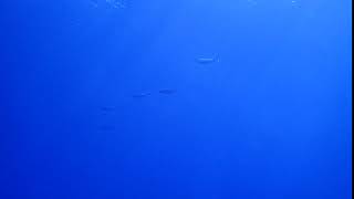 P7150069