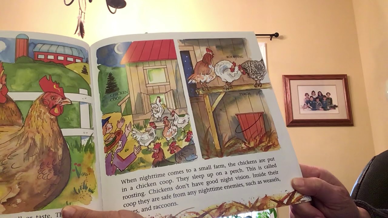 Chicks and Chickens by Gail Gibbons - YouTube