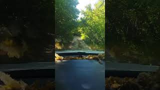 Как меня опять засосало!#джипинг #бездорожье #активныйотдых