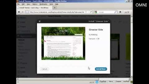 How to Install WordPress Themes Automatically