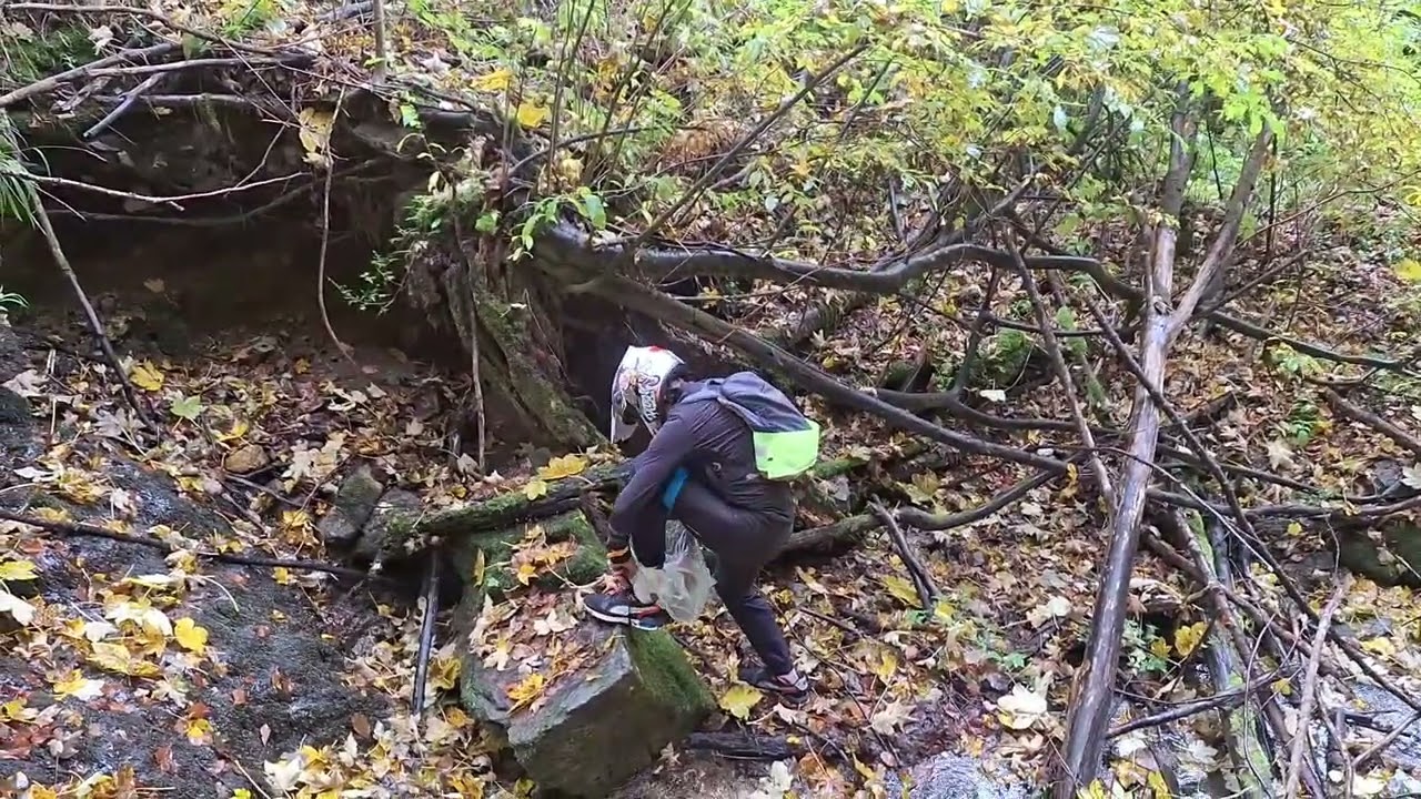 Downhill? Trail MTB? No; then what is this?#downhill #mtb #wildlife #nemarcate -Ep 1