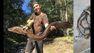 How to Catch Eel - Catch Eel using Technic - Creative Catch eel in the mud