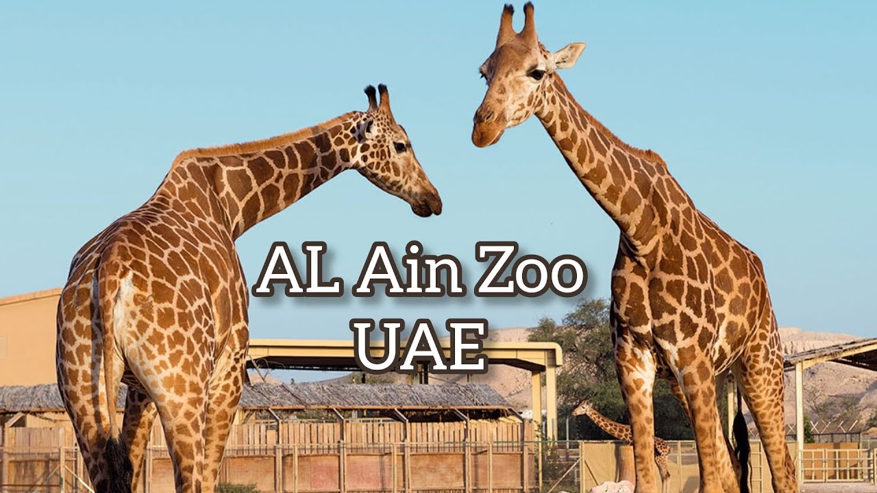 Visit Al Ain Zoo UAE with Us !!!