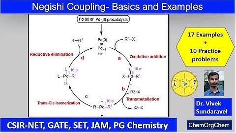 Negishi Coupling|Basics|Mechanism|Catalytic Cycle| Examples| ChemOrgChem