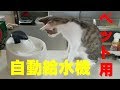 【犬猫】ペット用自動給水機ってどうなんだろう？！