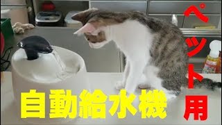 【犬猫】ペット用自動給水機ってどうなんだろう？！