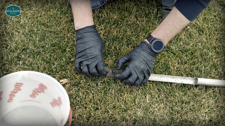 Easy Method For Soil Testing Your Lawn