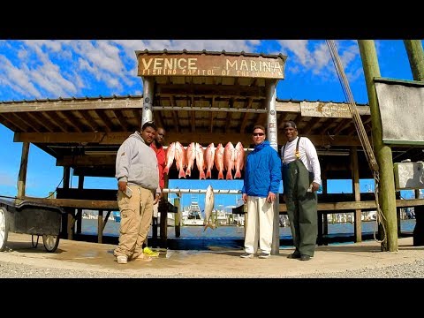 how-to-catch-red-snapper--veni