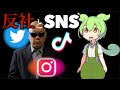 【VOICEVOX解説】ずんだもんと学ぶ「反社とSNS」【ゆっくり解説】