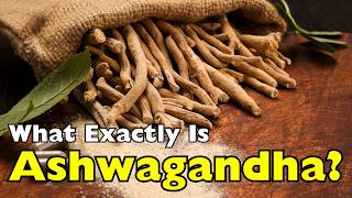 From Ancient India to TikTok Trends: Ashwagandha Explained