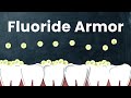 The Impact of Fluoride on Tooth Strength and Decay Prevention