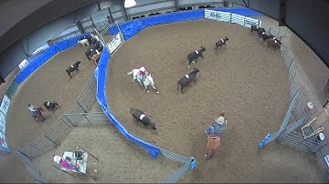 Big Sky Ranch Sorting Saddle Series #5 - OPEN -HC - Round #1 - Ride #10