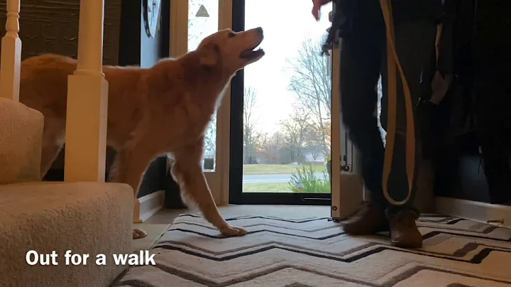 Riggs Virtual Home Manners