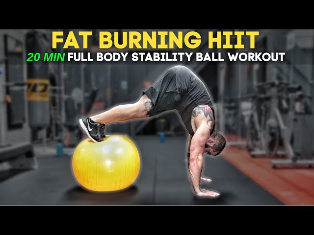 19 Swiss Ball Exercises For Weight Loss (That Actually Work) – Fitbod