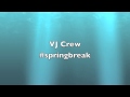 Vj crew springbreak