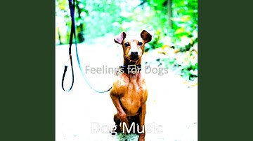 Pulsating Ambience for Training Your Dog