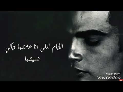 اغنيه عمرو دياب انا مش هضعف تانى قصادك حاله واتساب