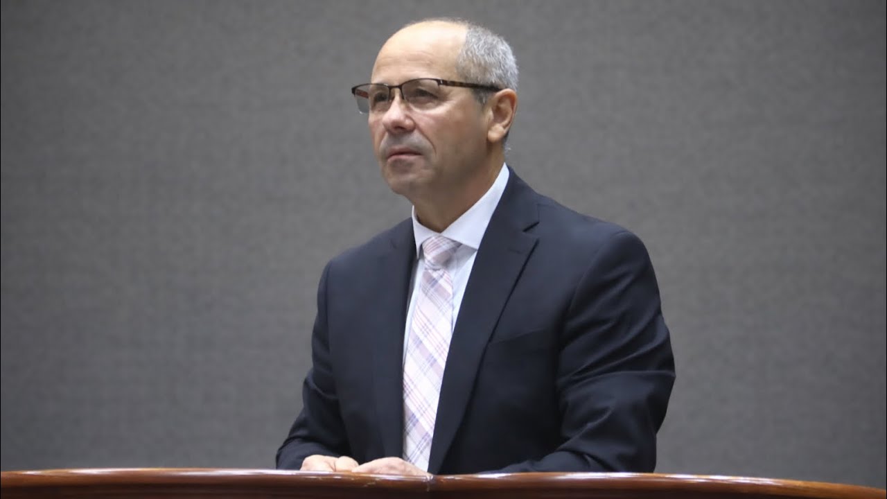 Luigi Mițoi - Cum arată familia biruitoare?