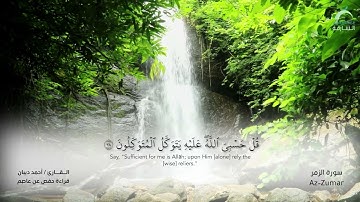 39 سورة الزمر - القارئ : أحمد ديبان