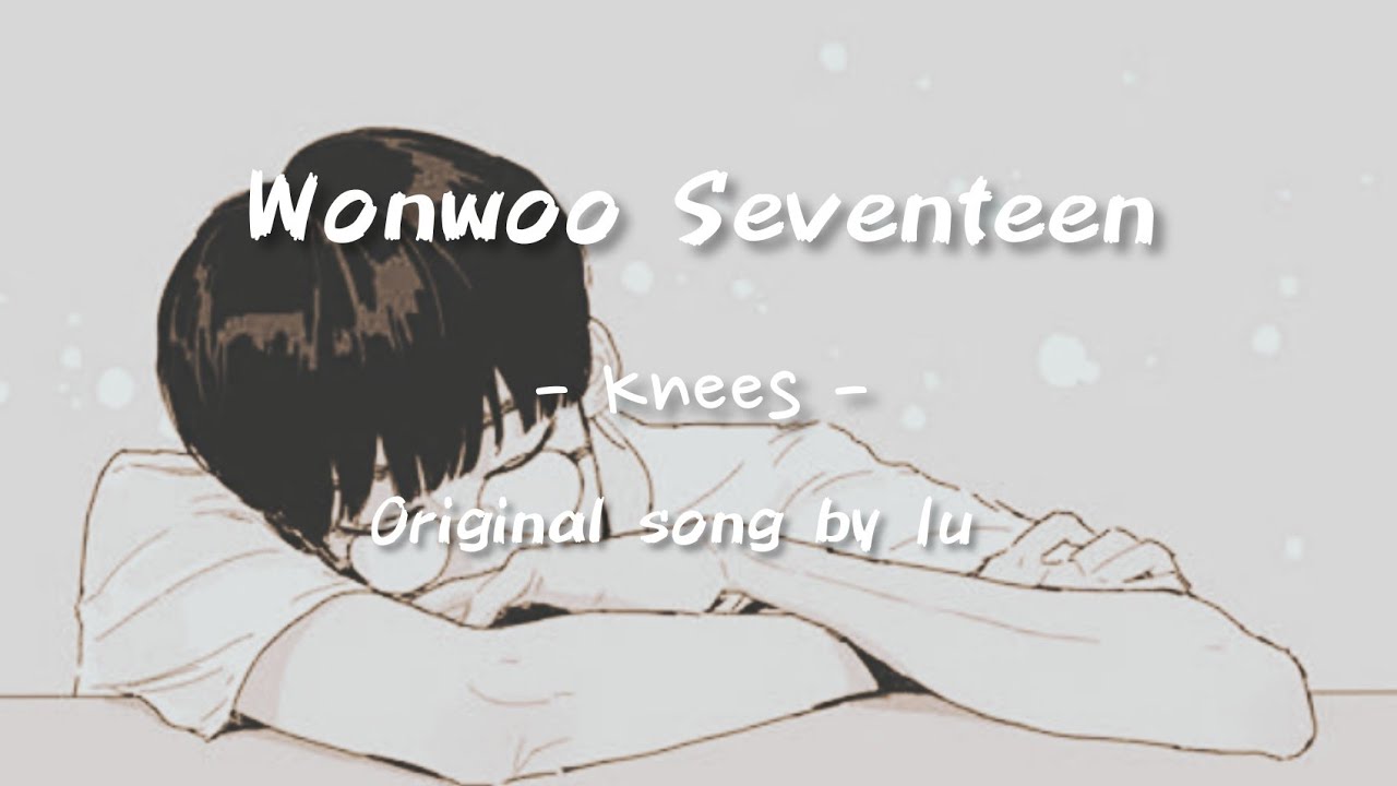 Wonwoo seventeen   Knees original song by IU Easy lyrics Sub Indo