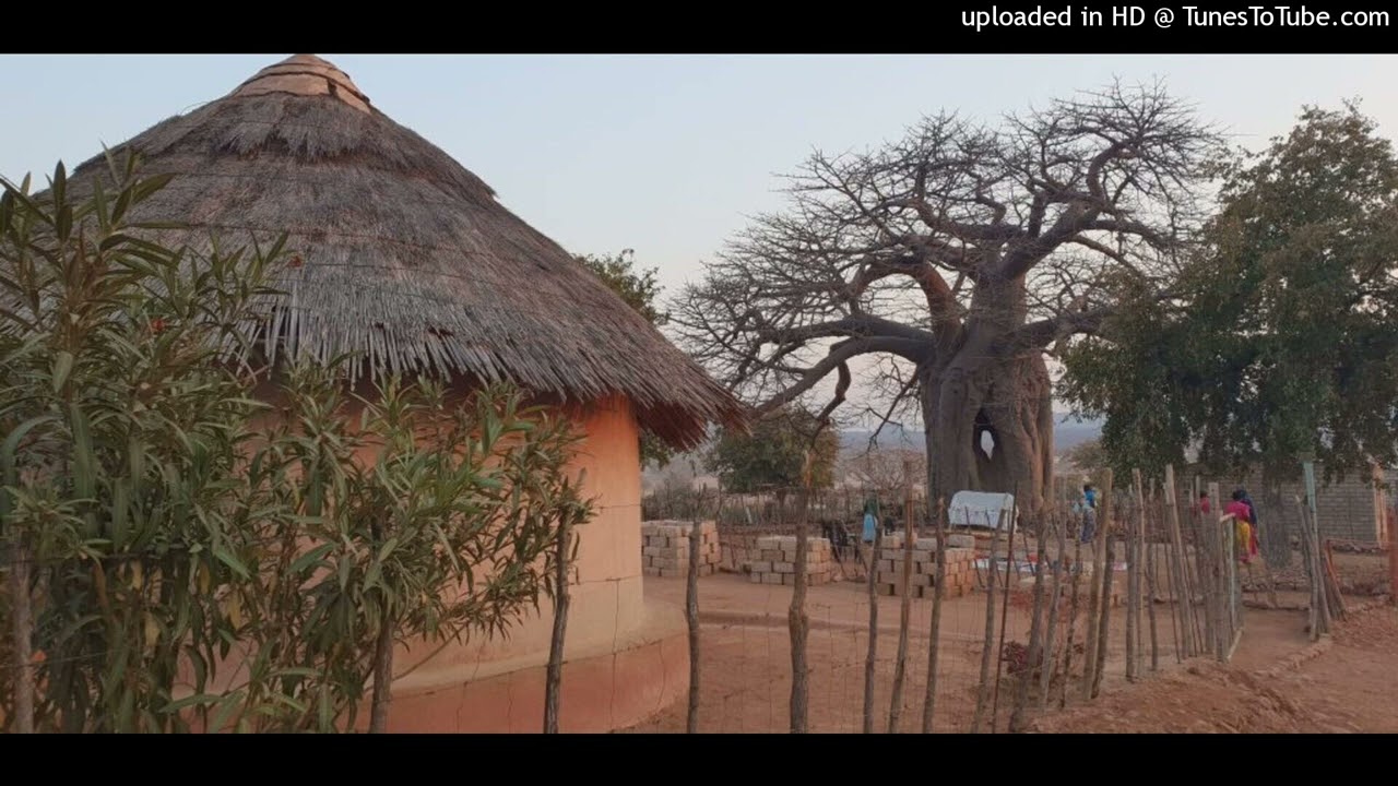 Dicksy - Mosadi wa sebodu