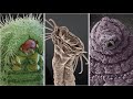 Astonishing Electron Microscope Images