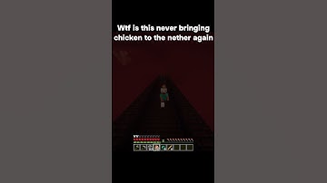 Explains why there is no water in the Nether #minecraft #minecraftshorts #memes