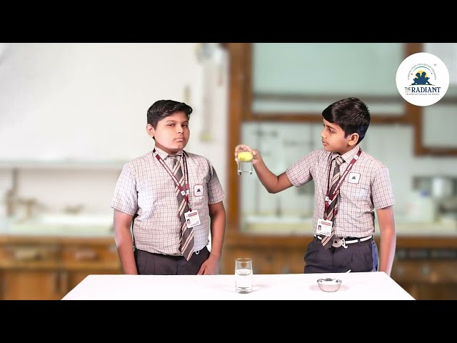 Lemons Floating OR Sinking Experiment | Science Experiment | #science #experiment #facts #gujarati