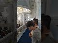 сегодня Шали Online And Shali The Prophet Mohamed S Mosque сегодня Шали Online And Shali The Prophet Mohamed S Mosque