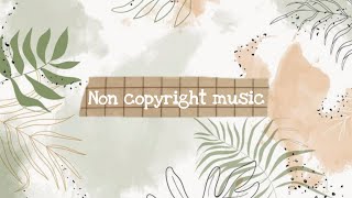 [NO COPYRIGHT] Japanese Aesthetic Chill Background Music | Storybook - Lukrembo