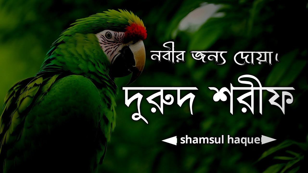 নবীর জন্য দোয়া - দুরুদ শরীফ এক ঘণ্টা। Healing Recitation of Durood Sharif (Durood e Ibrahim)