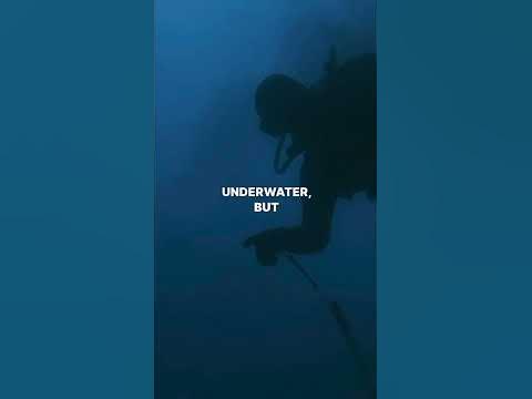 Navy SEALs lost underwater and then it gets worse. #navyseals # ...