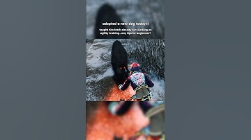 TAKING NAME SUGGESTIONS 🐾 #dbd #dbdshorts #deadbydaylight #deadbydaylightshorts #shorts #dbdclips