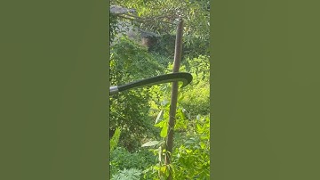 Tôi tạo ra một con rựa quắm phát rẫy bằng thép lò xo xe lửa chặt cây như chặt chuối vậy